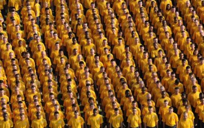 Episode 19 – The Yellow Vests