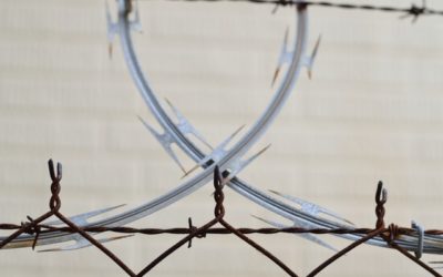 Episode 30 – Building Bridges Between the Left and the Right, The Boarder Wall, & NY Budget